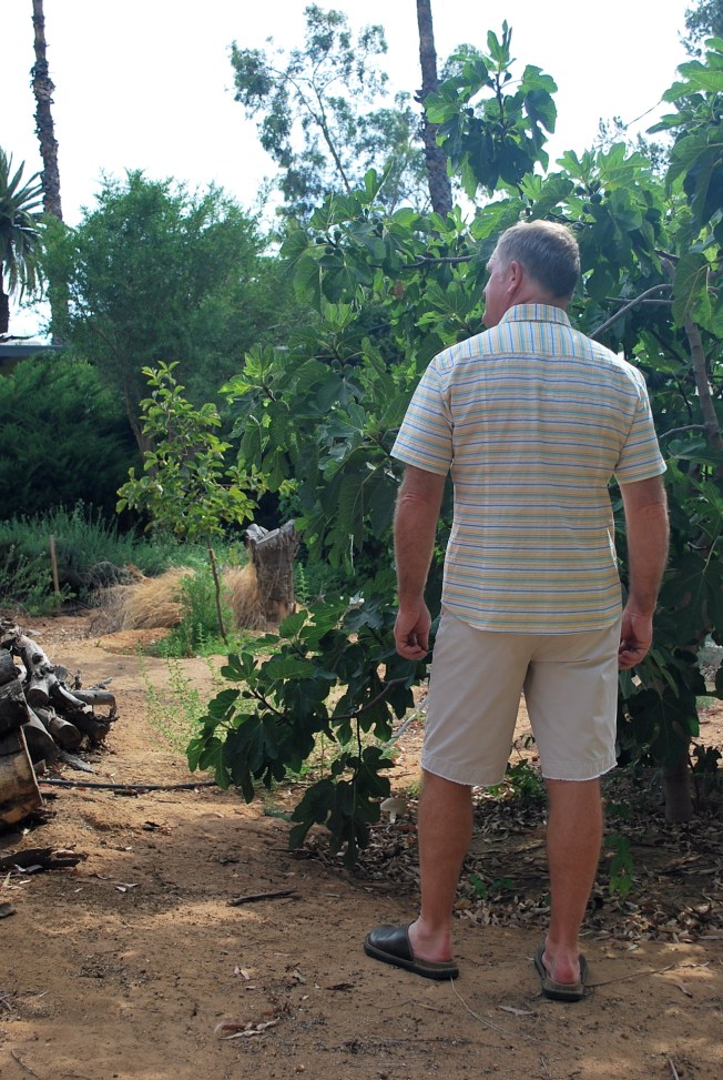 Michael is standing next to his favorite fig tree.